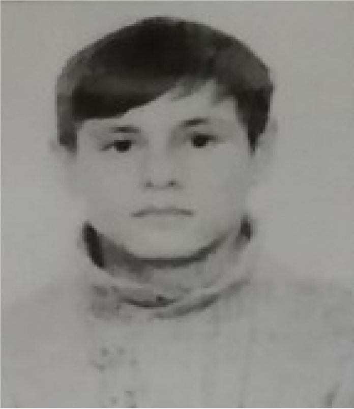павленко